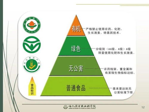 黨建引領科技賦能 智慧農業繪就春耕新圖景